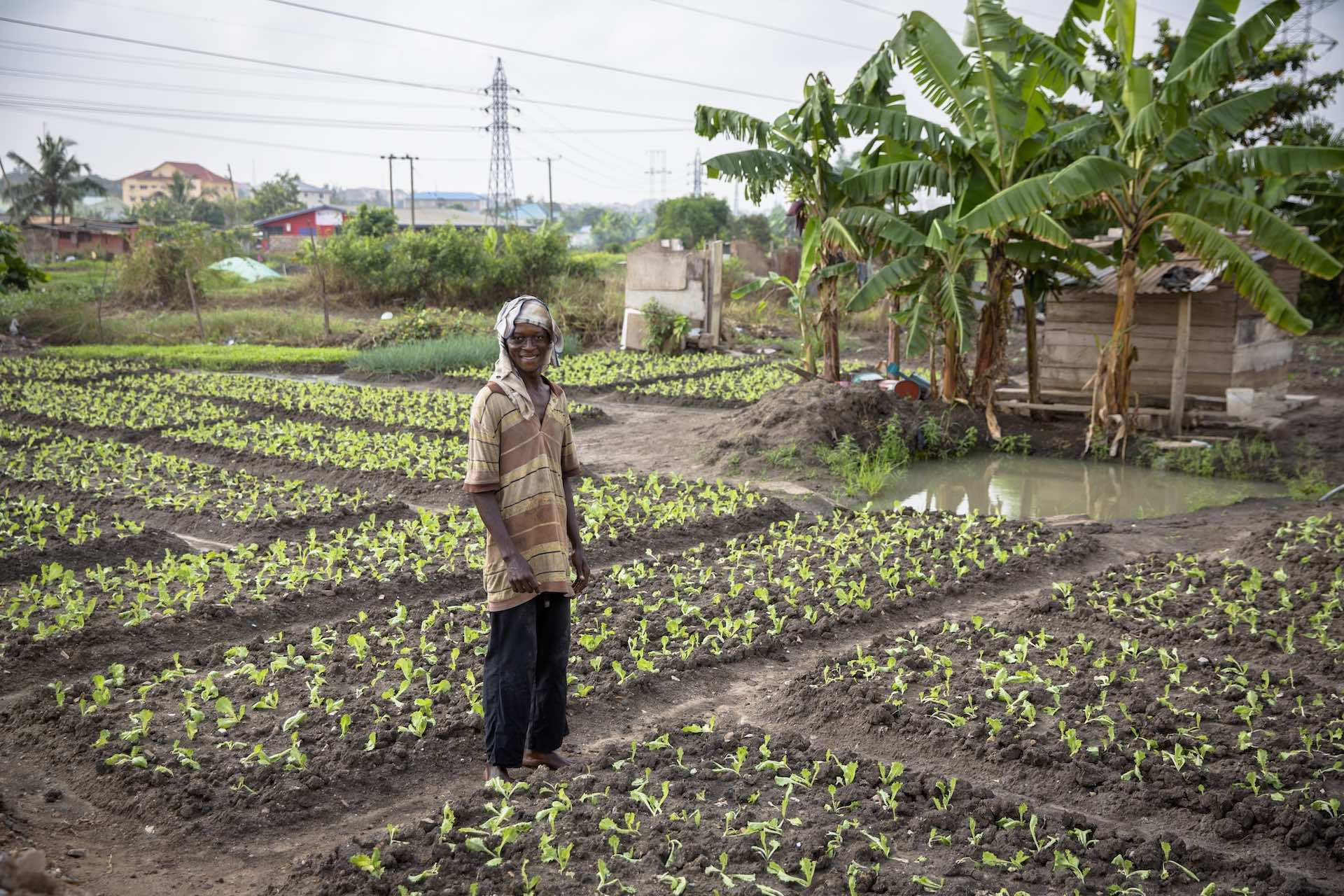 wastewater farmer Ghana