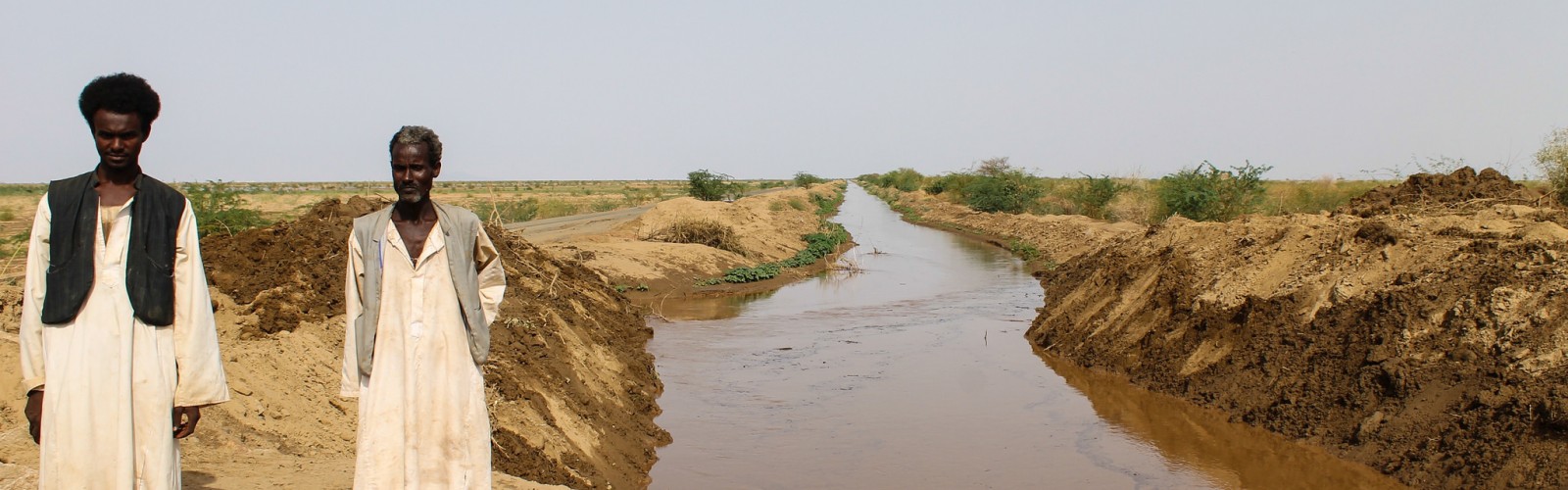 Gash irrigation scheme. Kassala State, Sudan.