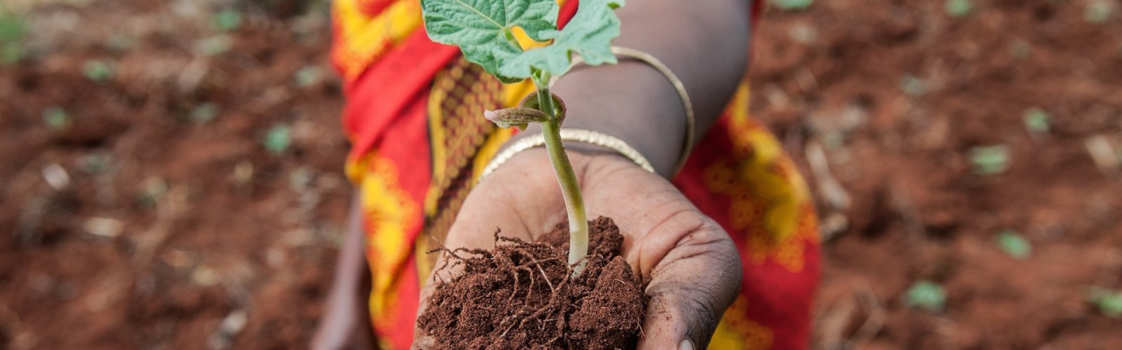 Sharifa Juma digs terraces to stop soil erosion in Lushoto, Tanzania. 