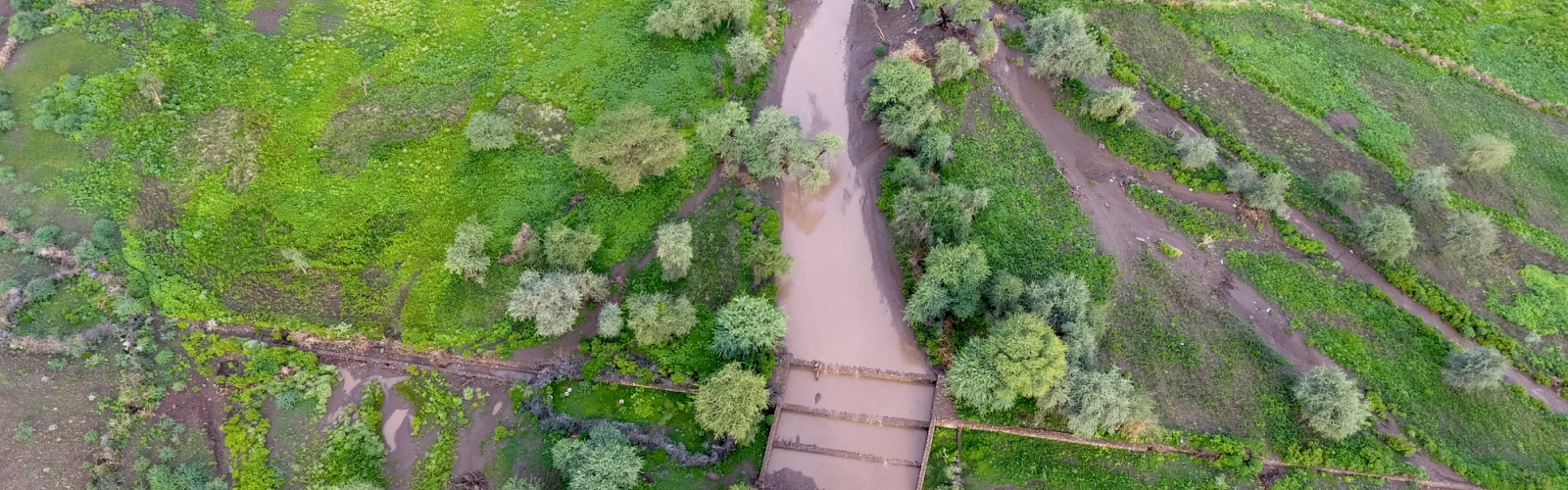 Water-spreading weirs in Afar, Ethiopia.