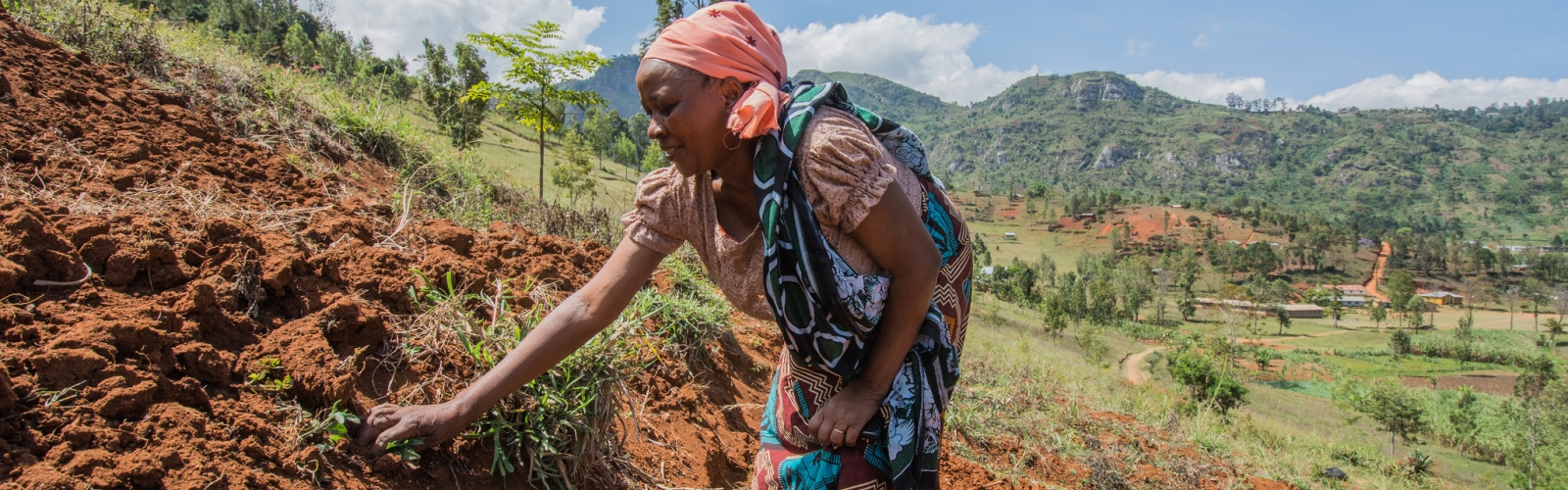 Farmers help each other to terrace the land in Lushoto, Tanzania.