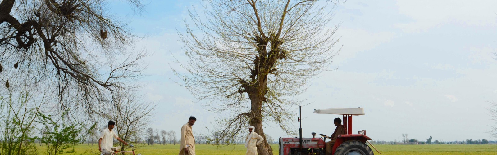 Farmers let out excessive water from their fields.