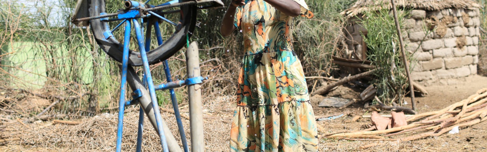 Aregash Bacha pumps water from her private well, near Meki.