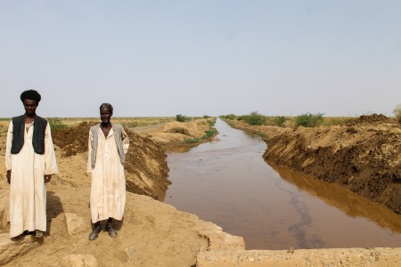 Gash irrigation scheme. Kassala State, Sudan.