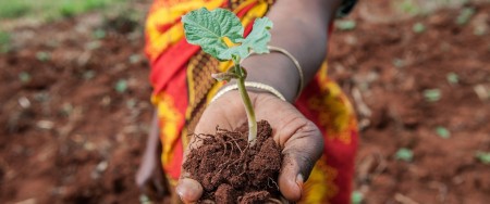 Sharifa Juma digs terraces to stop soil erosion in Lushoto, Tanzania. 