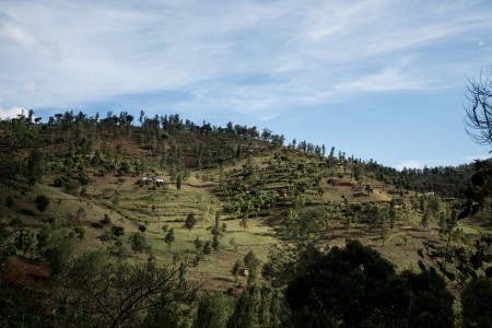The terraced landscape at Lushoto is designed to prevent soil run-off and erosion.