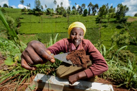 TANA Watershed Soil