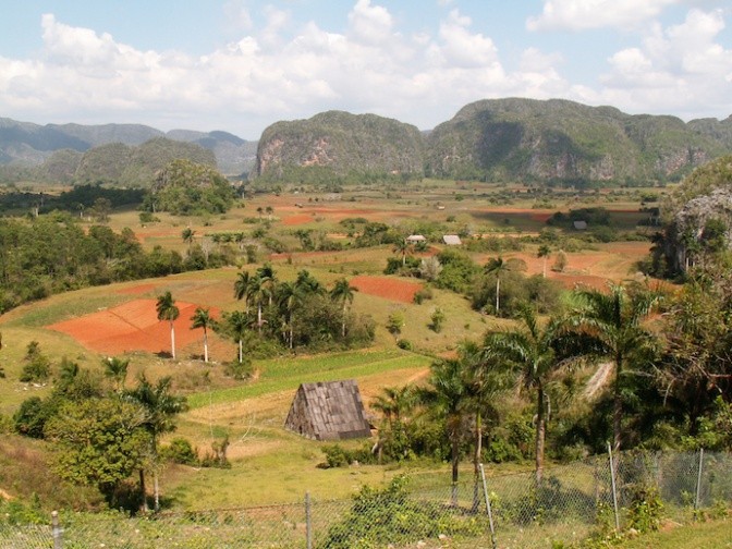 Sierra del Rosario Biosphere Reserve in Cuba. Photo: Bioversity International/P.Bordoni