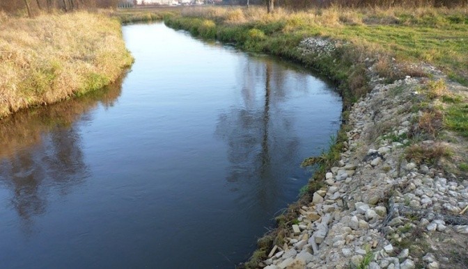 Drzewiczka