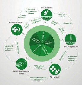 Microclimate interactions (click to enlarge). Source: MetaMeta
