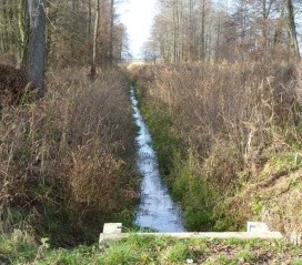 Moszczanka River