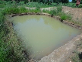 Small catchment pond. Photo Credit: Fred Kizito