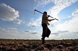 Restoring degraded lands in East Africa. Photo: Neil Palmer