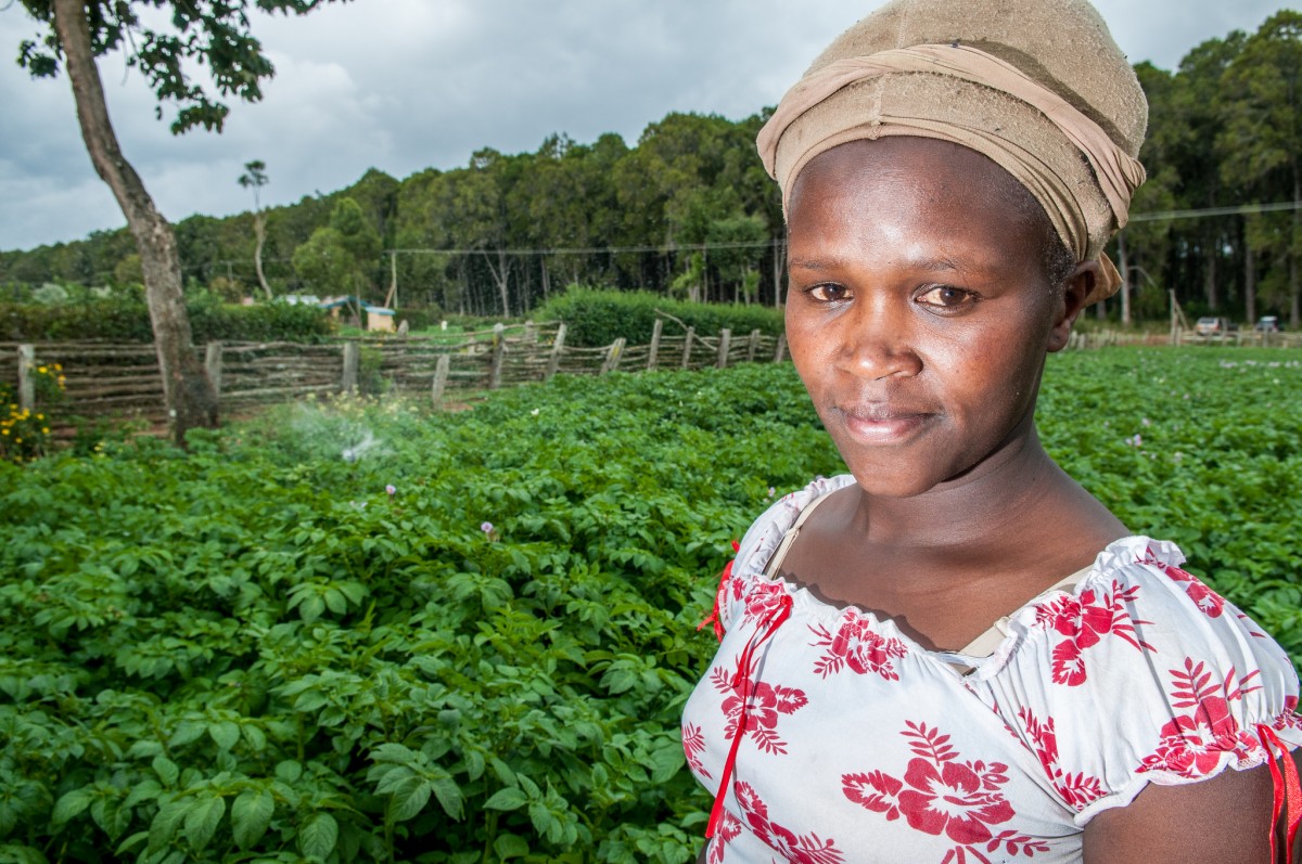 Farmers use irrigation to grow crops year round in Kenya's Tana River watershed.