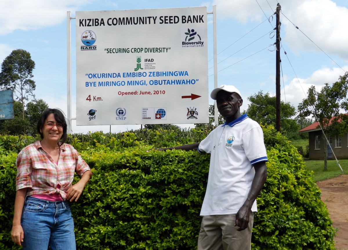 Community Seed Bank in Uganda that is part of Bioversity International's Pest and Disease initiative
