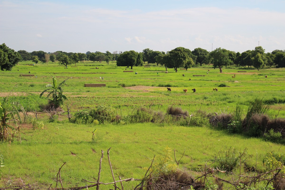 When the Ladwenda reservoir is full, it provides a host of benefits.