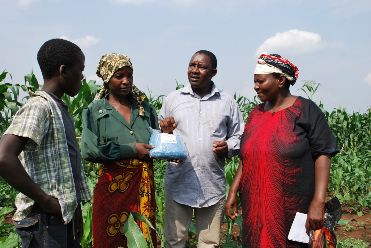 Researchers work with extension agents and farmers to scale up more sustainable and climate resilient farming practices. Babati district, Tanzania. 