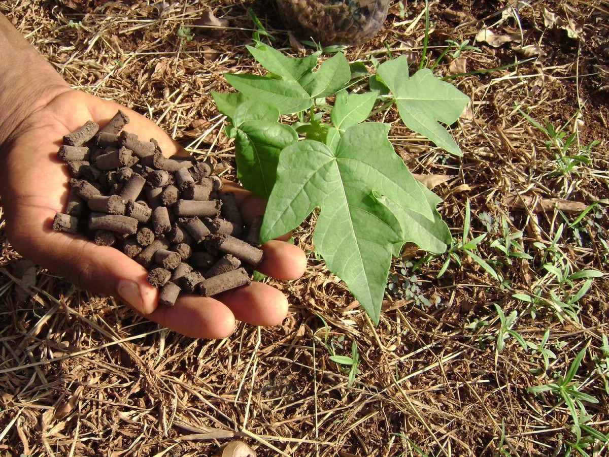 Fortifier pellets made from human waste