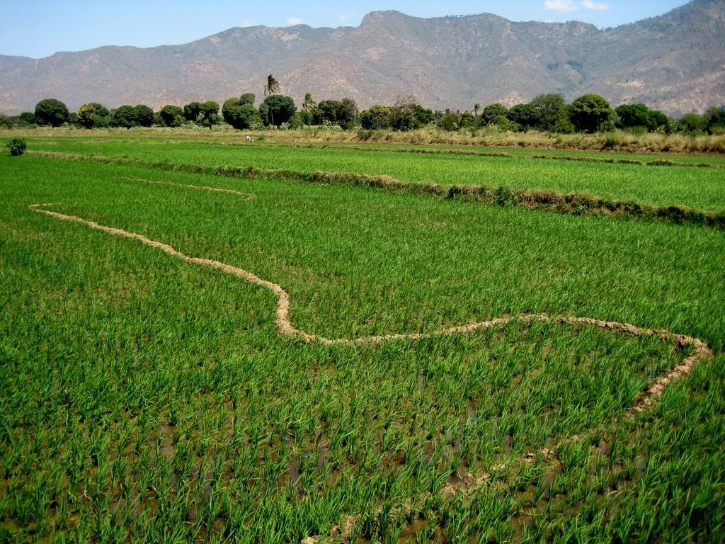 Remote sensing for irrigation in sub-Saharan Africa: Promises and pitfalls