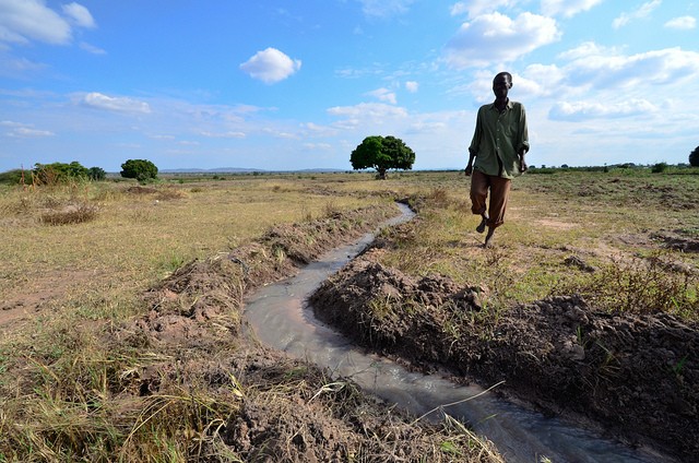 Resilience of farmers and agro-ecosystems to shocks and changes is key to sustainable agricultural development. Photo: Neil Palmer