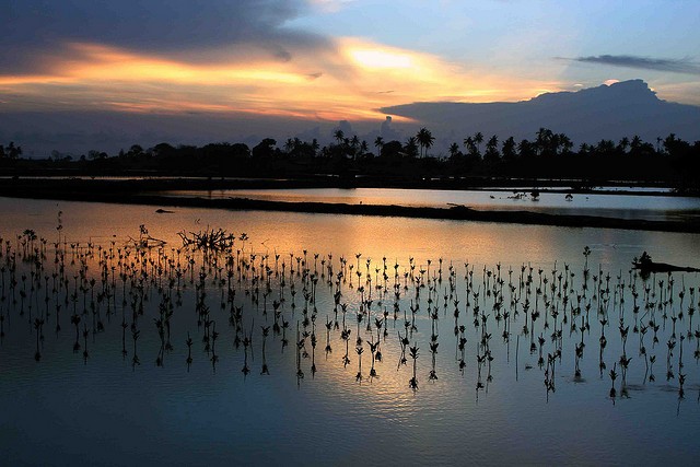 Sunset over tsunami damaged flats near Banda Aceh, Sumatra Island, Indonesia. Photo: Michael Thirnbeck