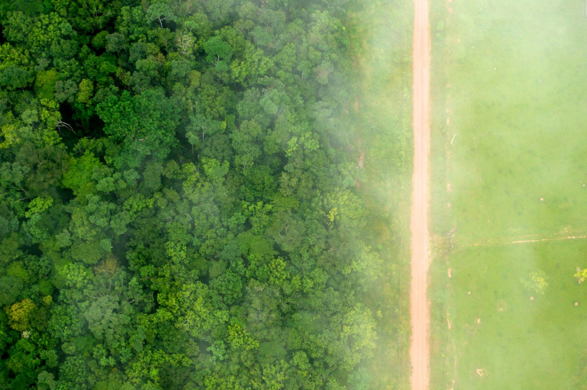 Agricultural deforestation in Brazil. CIFOR's photo of agricultural deforestation in Brazil