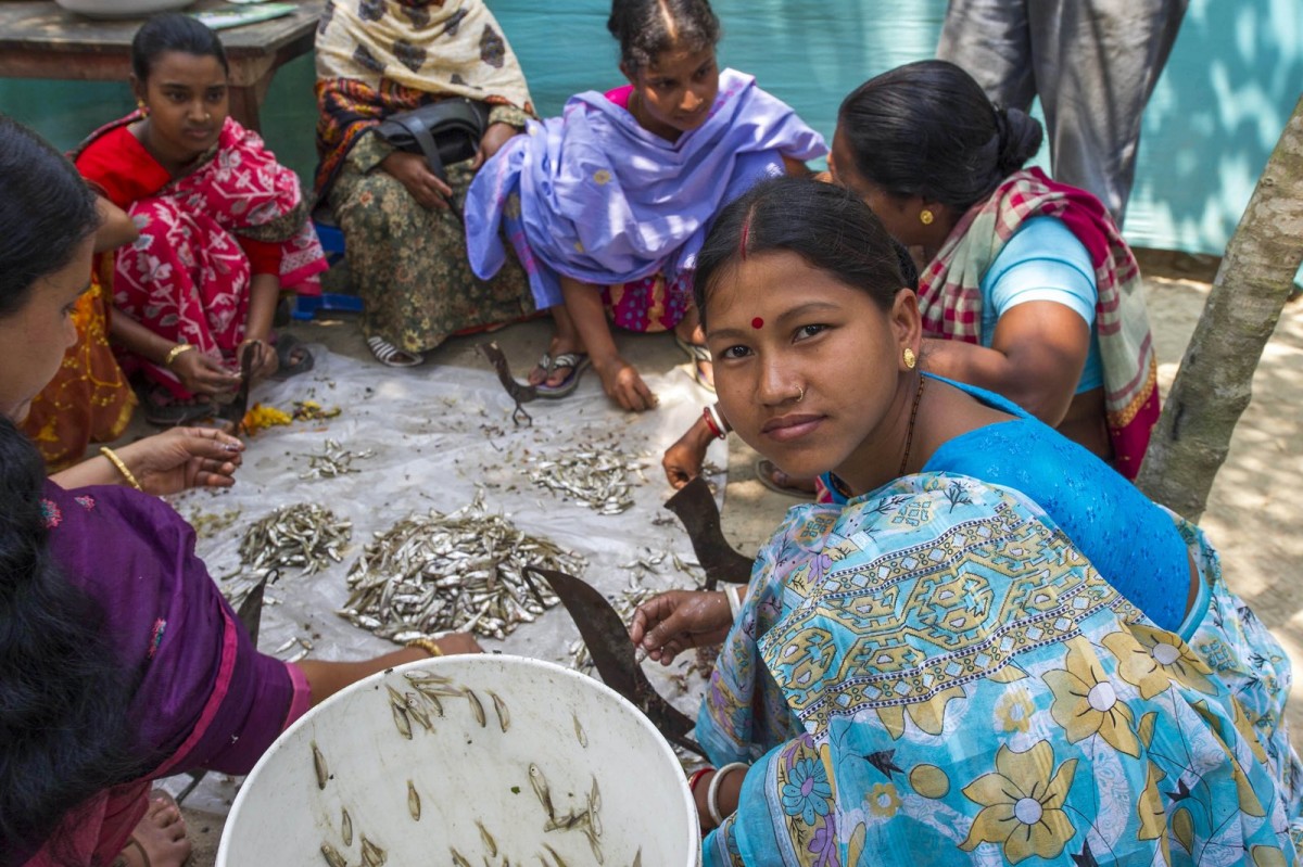 Women clean small fish in Bangladesh.