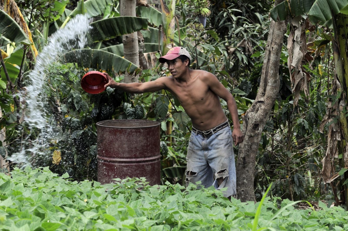 Agriculture and biodiversity conservation: five critical factors for success