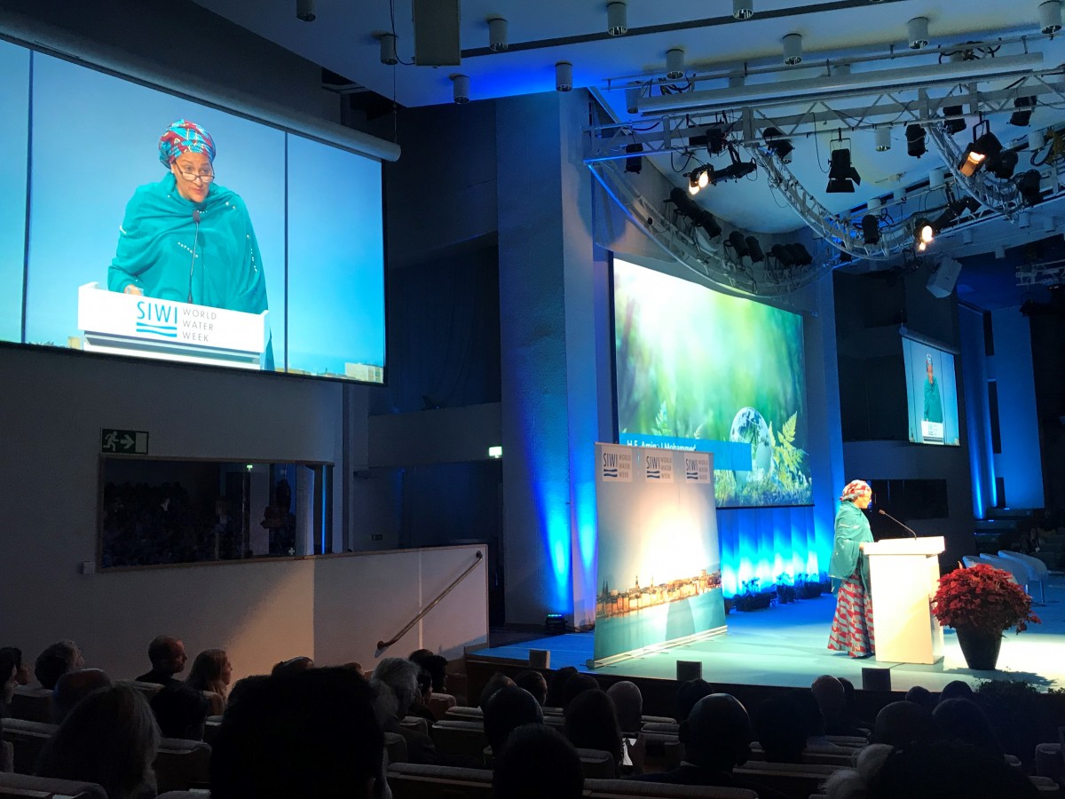  UN Deputy Secretary General, Amina Mohammed