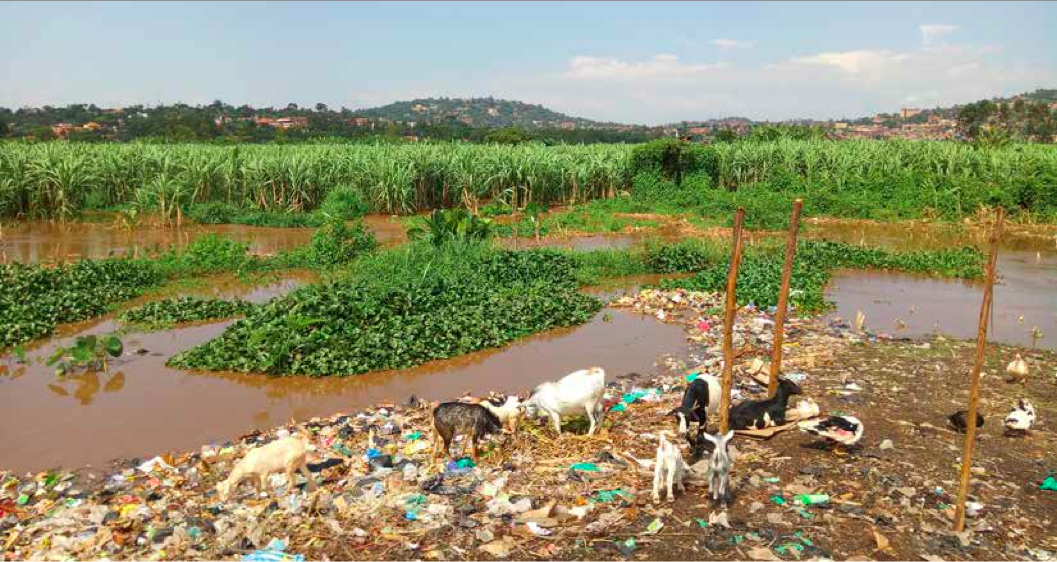 Nakivubo wetland.