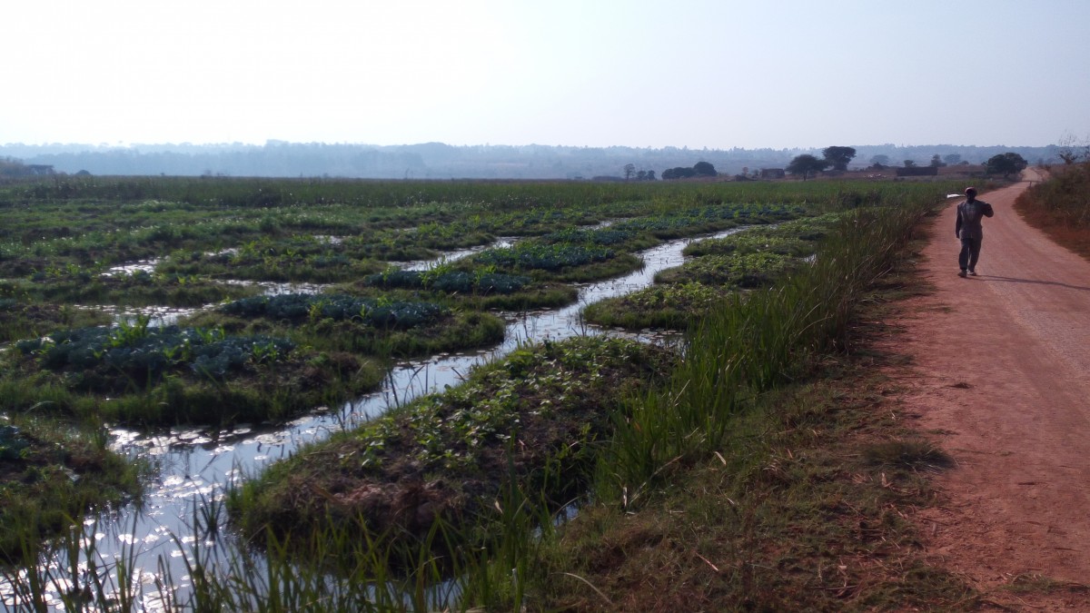 A farmer in the Ruaha watershed.