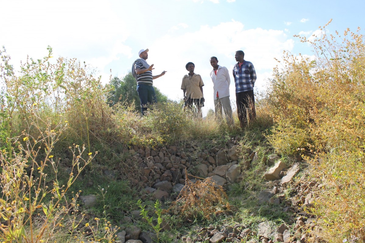 Vegetation is returning to a previously treated gully.