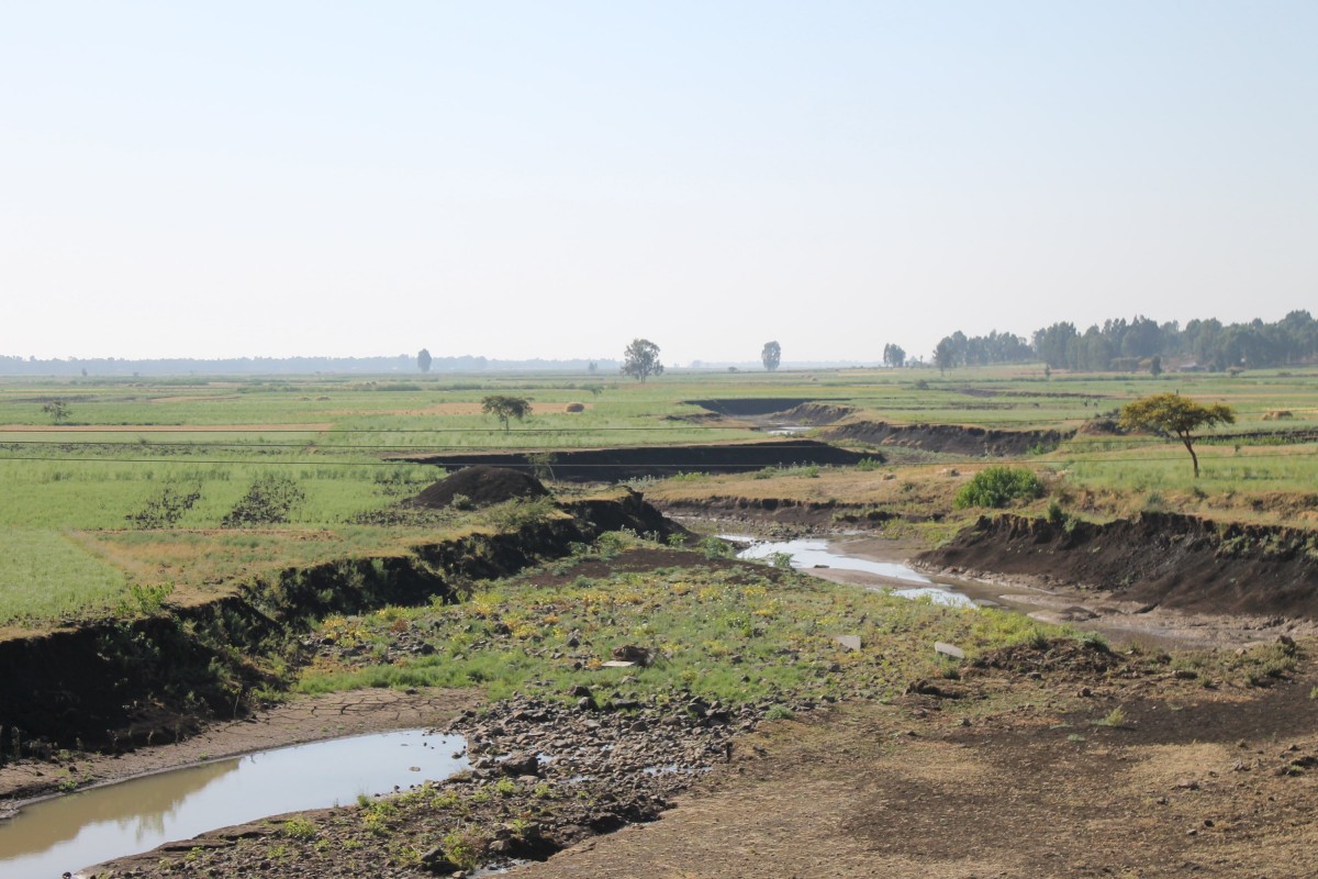 An untreated gully cuts through the landscape.