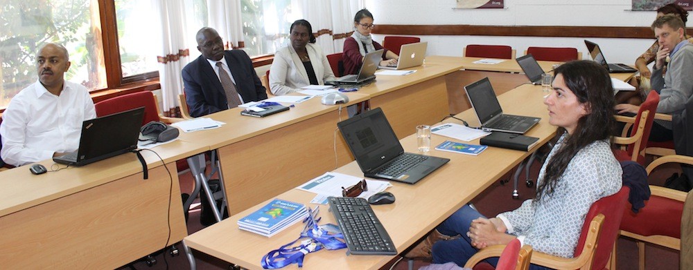 Participants at the WA+ roundtable discussion in Addis Ababa discuss the thematic sheets produced by the project.