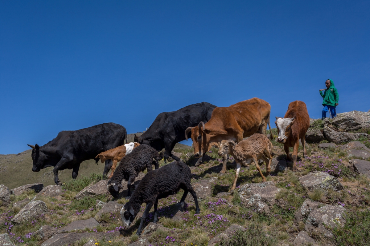 Embracing natural cycles for a sustainable food system