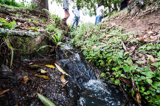 River Tana watershed