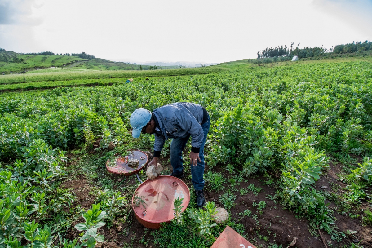 Semantics and words matter for analyzing gender and social inclusivity in development projects