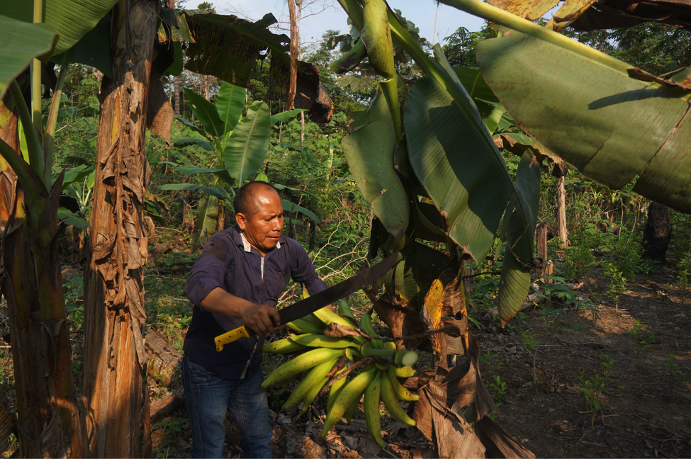 The Powerful Alliance Between Integrated Science and Traditional Food Systems