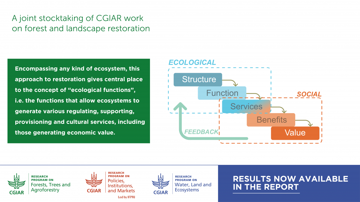 A joint stocktaking of CGIAR work on forest and landscape restoration by FTA, PIM and WLE