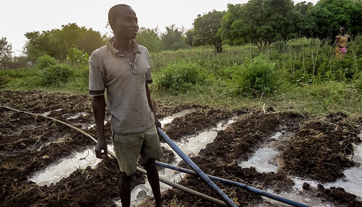 farming kenya