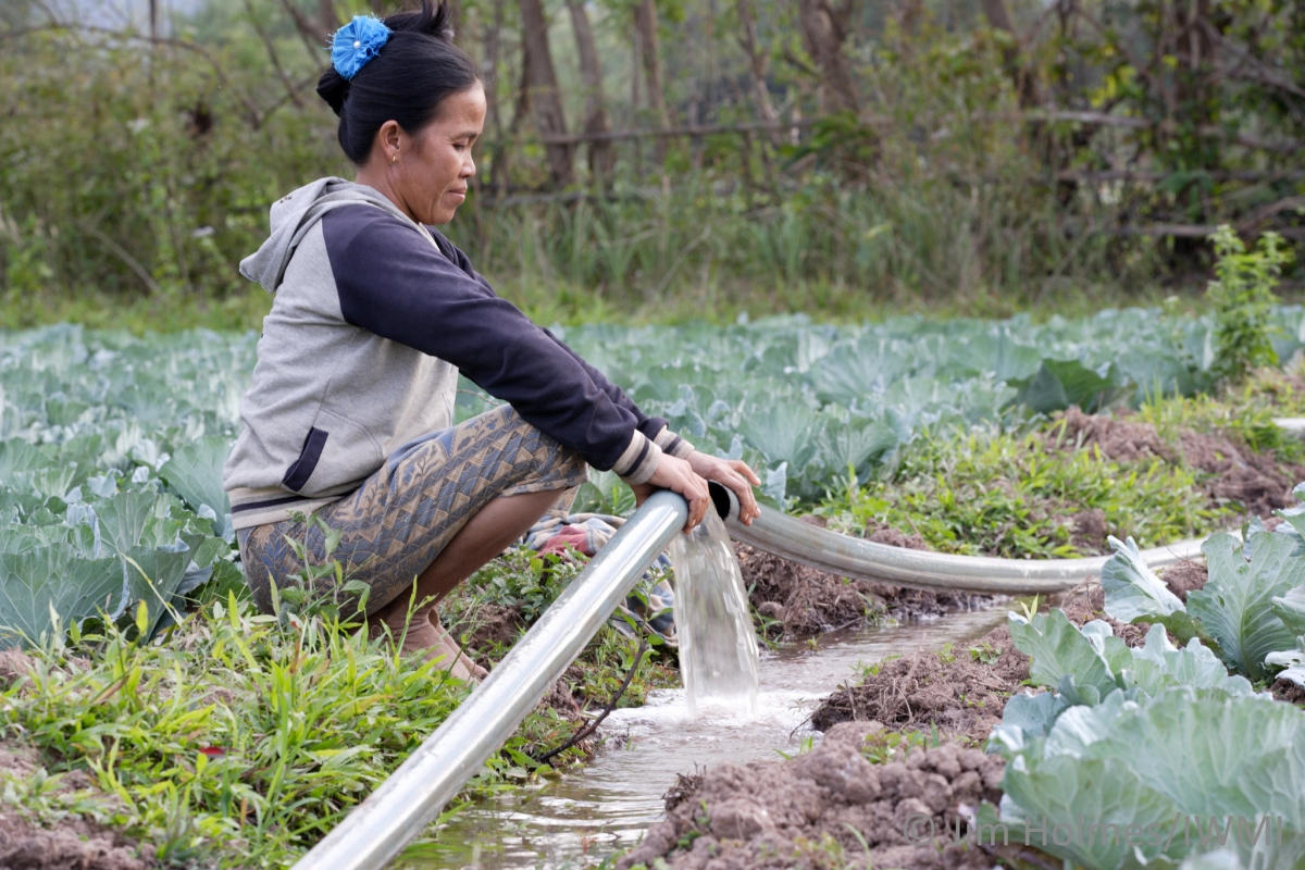 New National Action Plan paves the way for sustainably developing groundwater in Laos