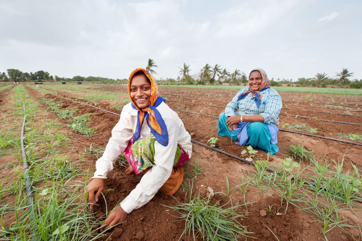 Women working in a farm in India