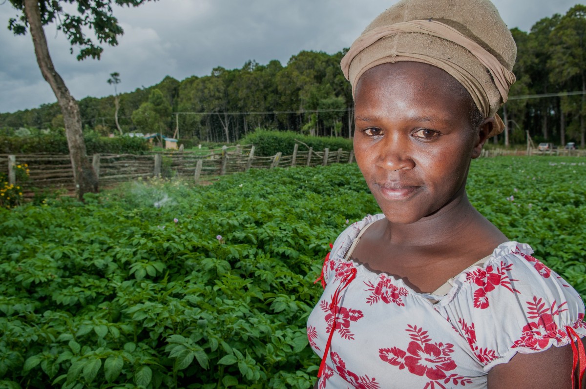 Woman farm irrigates her field in the Tana basin
