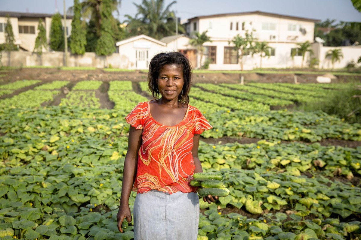 Wastewater irrigation in Ghana