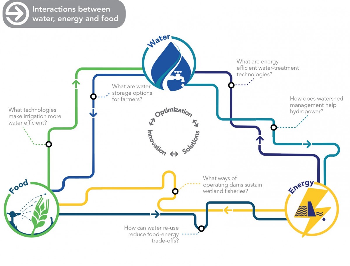 A diagram of the connections between water, food, and energy.