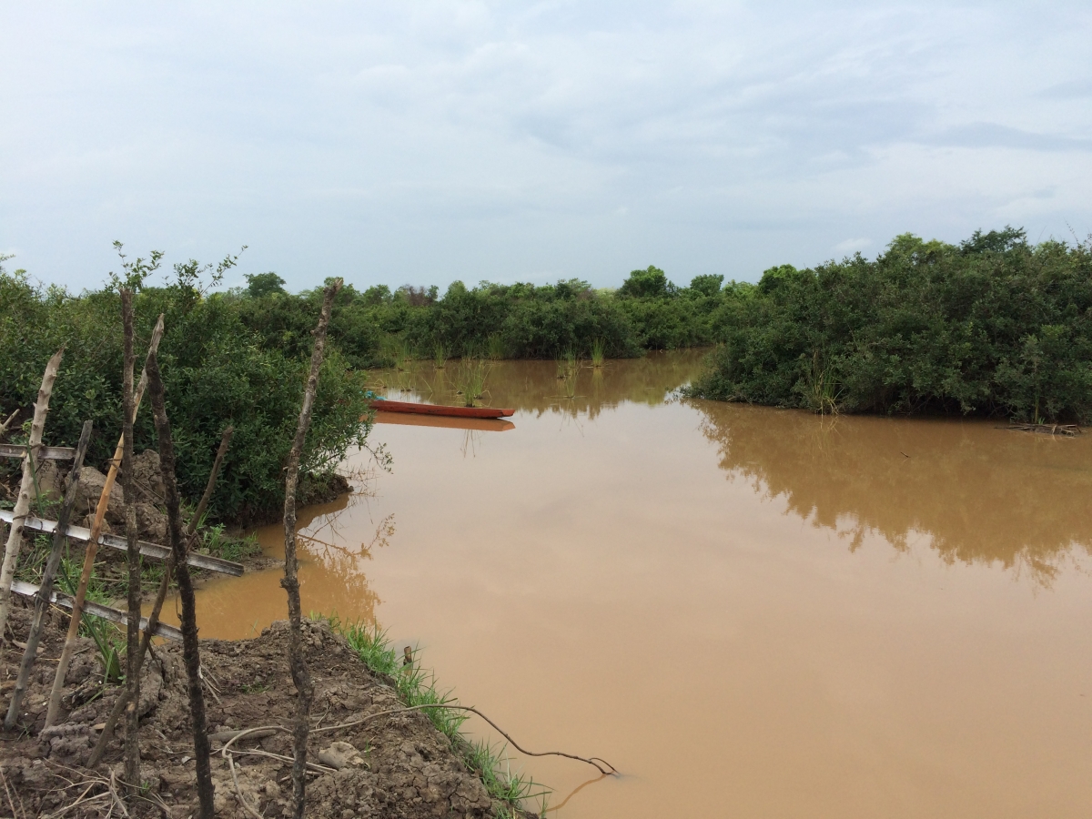 A wetland on the floodplain of the Xe Bang Fai. A wetland on the floodplain of the Xe Bang Fai in Khammouane province, Laos.