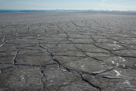 Greenland's rapidly darkening ice sheet.