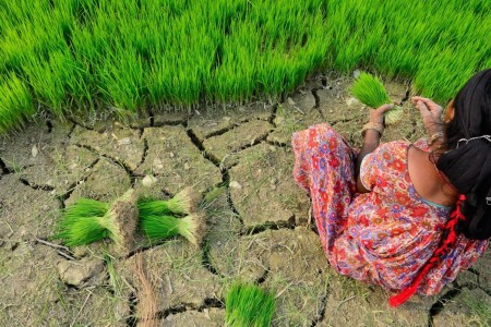 Farmer in Nepal.