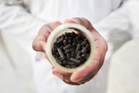 A researcher holds fecal pellets.