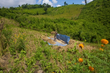 Landscapes Investment